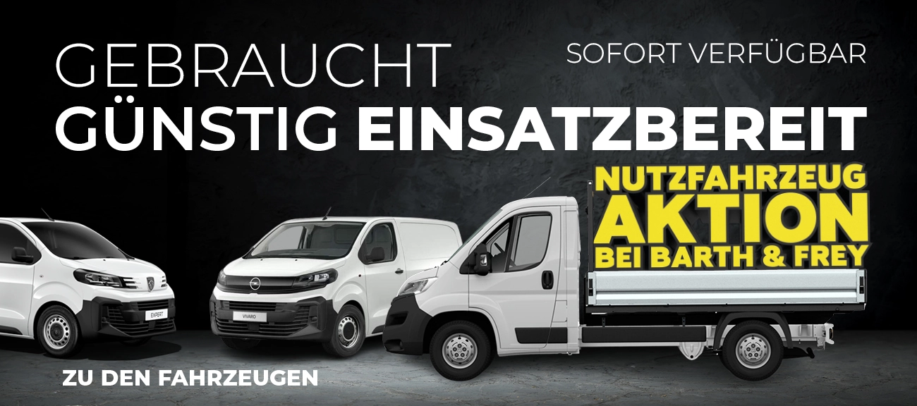 Nutzfahrzeug GW Aktion